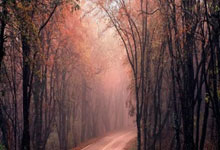 乐鱼体育登陆入口-摩洛哥瓦赫达主帅战术布置细致，力争半决赛全胜