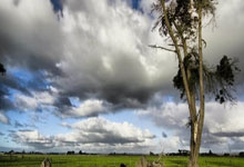 乐鱼体育官网网页版-圣保罗之夜！C罗倒钩绝杀引爆美洲杯意大利铁壁崩于最后一秒