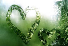 Leyu-惊天逆转夜！中国龙魂撕碎法兰西巨幕，武磊绝杀姆巴佩引爆美洲杯！